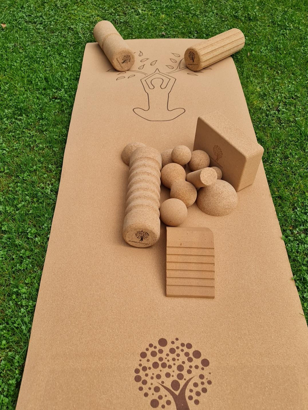 Kork Training & Regeneration